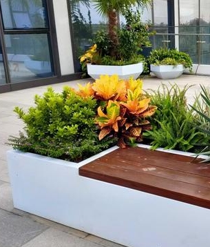 南京鲜花绿植店