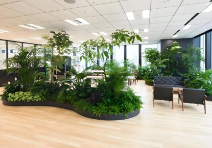 办公室绿植租摆