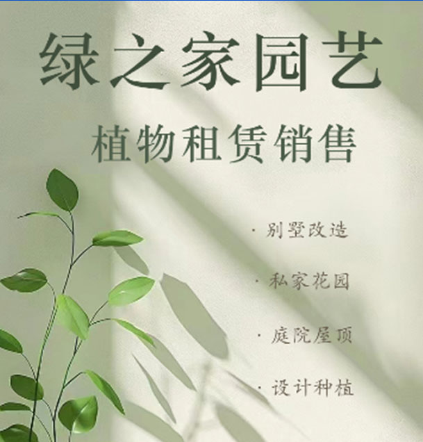 南京绿植租摆