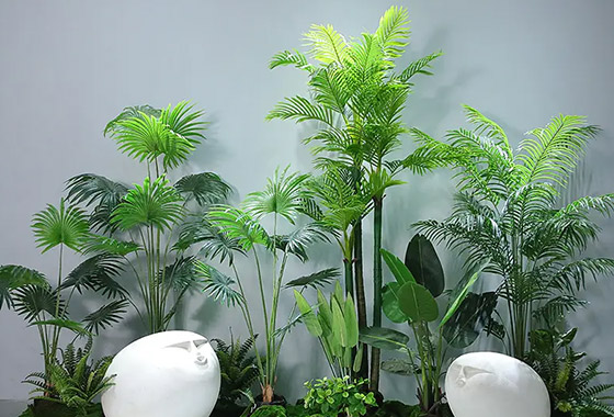 南京花卉租赁电话