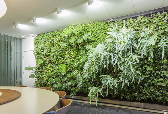 南京办公室绿植租摆